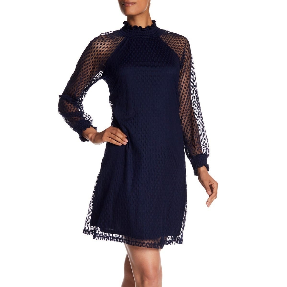Shirred Mock Neck Long Sleeve Dress by NINA LEONARD